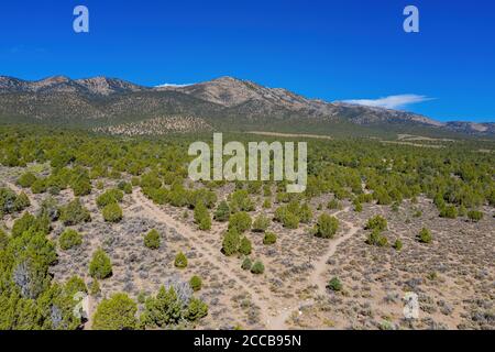 Luftaufnahme des wunderschönen ward Charcoal Ovens State Historic Park in Nevada, USA Stockfoto