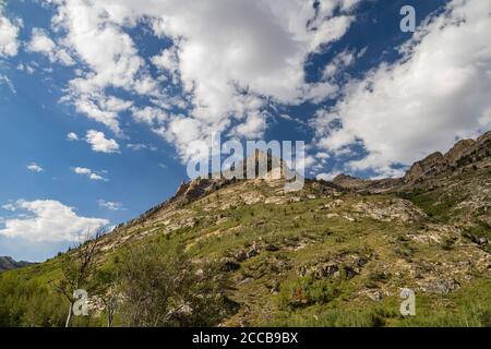 Wunderschöne Landschaft rund um den Lamoille Canyon, Nevada Stockfoto