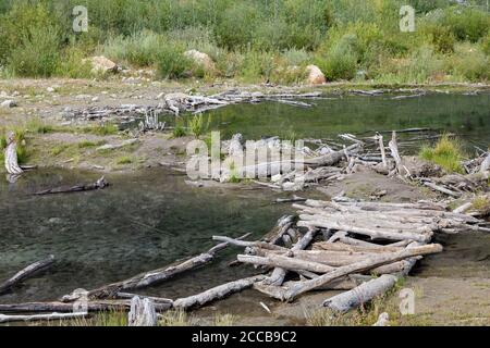 Wunderschöne Landschaft rund um den Lamoille Canyon, Nevada Stockfoto