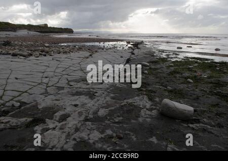 Geologische Formationen am Kilve Beach, Somerset, Großbritannien Stockfoto