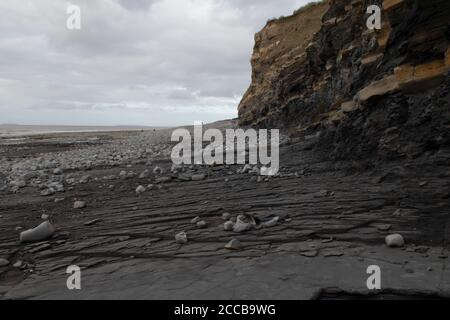 Geologische Formationen am Kilve Beach, Somerset, Großbritannien Stockfoto