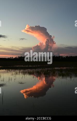 Sommerwolken über Hole-in-the-Donut Lebensraumrestaurierung Projekt im Everglades National Park, Florida bei Sonnenuntergang. Stockfoto