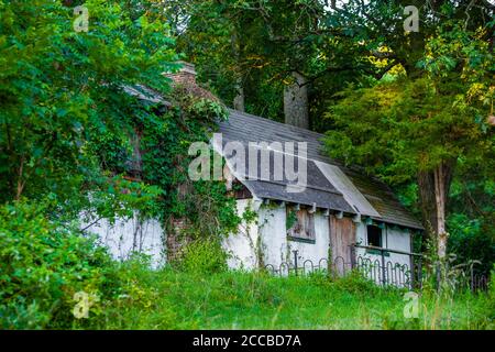 Friedliche verlassene alte Hütte bei Sonnenuntergang im Sommer im Wald Niemand Stockfoto