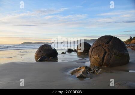 Die moeraki Boulders sind ungewöhnlich große und sphärischen Felsbrocken auf einer Strecke von Koekohe Strand liegend auf der Wave-cut Otago Küste von Neuseeland. Stockfoto