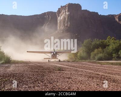 Ein Cessna 185 Skywagon der Utah Backcountry Pilots Association landet auf der Mineral Bottom Airstrip im Labyrinth Canyon in der Nähe von Moab, Utah. Stockfoto