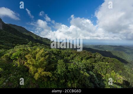 Blick vom Yokahu Tower im El Yunque National Forest in Puerto Rico. Stockfoto