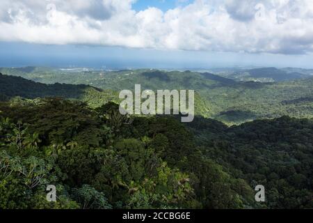 Blick nach Nordosten vom Yokahu Tower im El Yunque National Forest in Puerto Rico mit dem Atlantik in der Ferne. Stockfoto