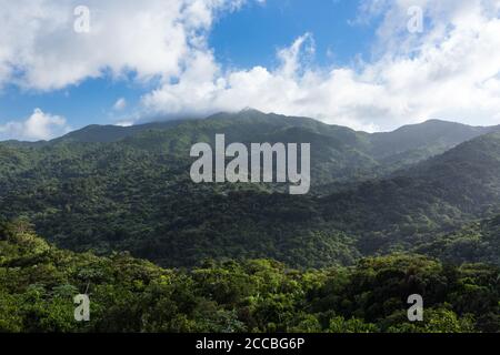 Blick vom Yokahu Tower im El Yunque National Forest in Puerto Rico. Stockfoto