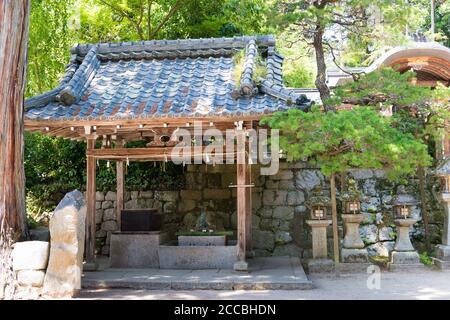 Kyoto, Japan - Saginomori-Schrein in Kyoto, Japan. Das Heiligtum wurde im 9. Jahrhundert gegründet. Stockfoto