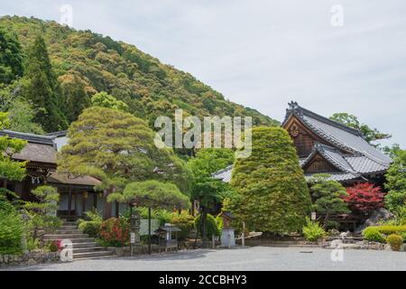 Kyoto, Japan - Matsunoo-taisha-Schrein in Kyoto, Japan. Es heißt, Matsuno'o Taisha wurde 701 gegründet. Stockfoto