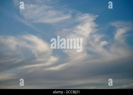 Wolken sehen aus wie ein fabelhafter fliegender weißer Vogel. Stockfoto