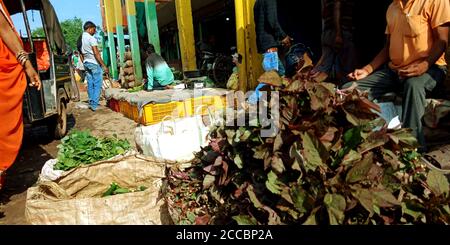DISTRIKT KATNI, INDIEN - 07. AUGUST 2019: Frisches Gemüse und Obst Hintergrund bei indischen Bauern landwirtschaftlichen Produkten Markt. Stockfoto