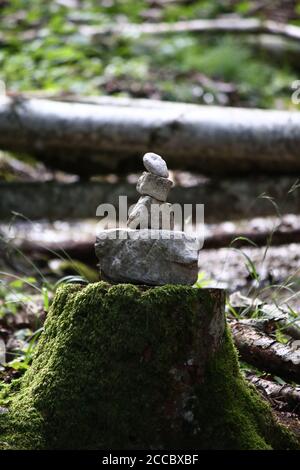 Selektive Fokusaufnahme eines moosigen Stumpfes mit ein paar Steine darauf Stockfoto