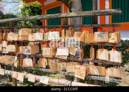 Kyoto, Japan - traditionelle hölzerne Gebetstafel (Ema) am Kamigamo-Schrein in Kyoto, Japan. Stockfoto