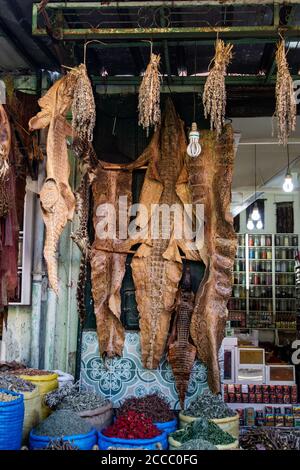 Krokodilhäute hängen von der Decke eines Ladens in Ein Straßenmarkt in Marokko Stockfoto