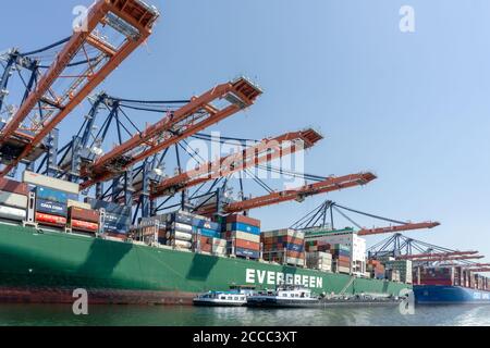 Containerschiff von Evergreen wird am Euromax Terminal im Prinses Amaliahaven, Maasvlakte 2, entladen Stockfoto
