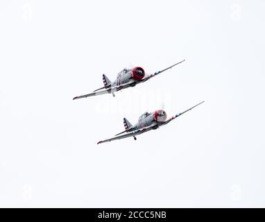 Zwei der weltbekannten Geico Skytypers, die ihre T-6 Texans in Formation auf der Westfield Airshow 2017 fliegen. Stockfoto