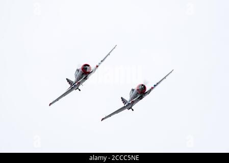 Zwei der weltbekannten Geico Skytypers, die ihre T-6 Texans in Formation auf der Westfield Airshow 2017 fliegen. Stockfoto