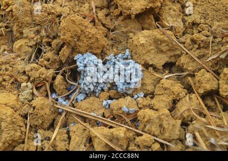 Das Bild zeigt ein Krabbenloch, in dem die Krabbe Schlamm unter dem Boden ausgegraben hat. Das kann man in einer anderen Farbe sehen. Stockfoto