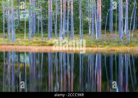 Waldsee im Herbst mit Reflexionen Stockfoto