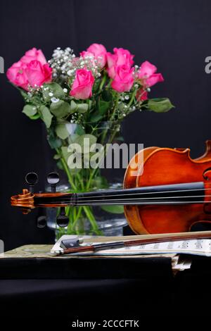 Stillleben mit einer Geige Stockfoto