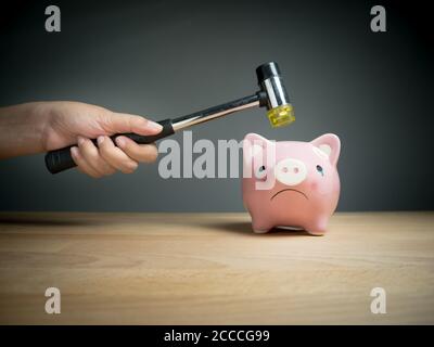 Sparschwein, Ersparnisse, Investitionen, Währungskonzept: EINE Hand mit einem Hammer, der über einem rosa traurig Sparschwein angehoben wird, mit einem schockiert Stockfoto