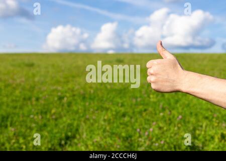 Die Hand des Mannes zeigt Daumen nach oben gegen blauen Himmel und Wiese Stockfoto