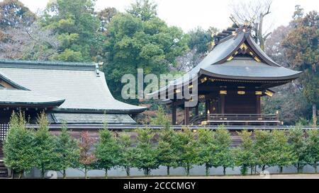 Saitama, Japan - Wasinomiya Schrein in Kuki, Saitama, Japan. Der Schrein war eine Geschichte von über 2000 Jahren und Anime Heiligen Ort. Stockfoto