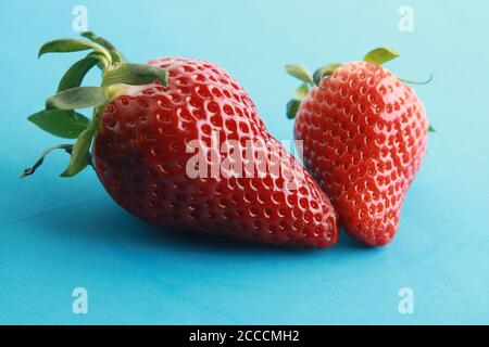 Nahaufnahme von Erdbeeren auf farbigem Hintergrund Stockfoto