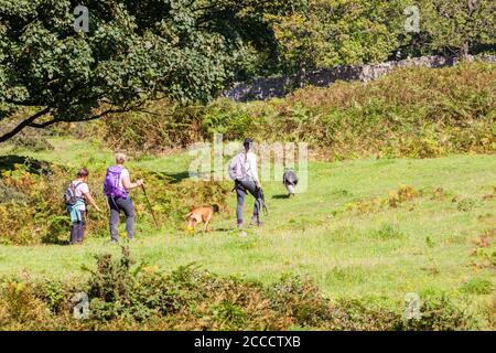 Menschen Wandern Hunde und Wandern auf Arnside Knot nationale Natur Reserve Cumbria England UK Stockfoto