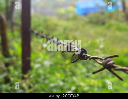 Rostiger Stachelzaun einer Farm. Einige Teile des Zauns sind im Fokus. Stockfoto