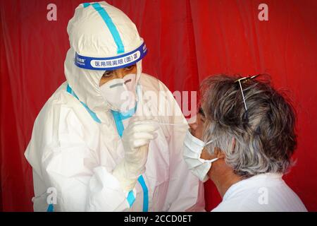 Coronavirus-Tupfer für Touristen, die von ihrem Urlaub im Ausland zurückkehren. Turin, Italien - August 2020 Stockfoto