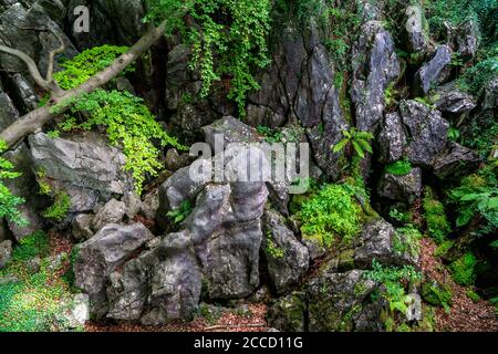 Das Felsenmeer in Hemer, Sauerland, Geotop, mit schroffen Felsformationen, Naturschutzgebiet, NRW, Deutschland Stockfoto