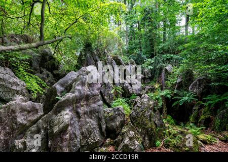 Das Felsenmeer in Hemer, Sauerland, Geotop, mit schroffen Felsformationen, Naturschutzgebiet, NRW, Deutschland Stockfoto