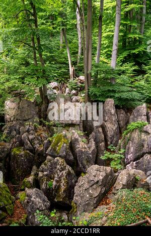 Das Felsenmeer in Hemer, Sauerland, Geotop, mit schroffen Felsformationen, Naturschutzgebiet, NRW, Deutschland Stockfoto