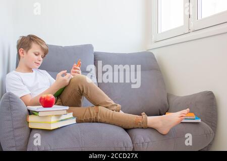 Schuljunge liest ein Buch sitzt auf dem Sofa zu Hause - Vorbereitung für den Unterricht während Quarantäne Online-Studium. Online-Bildung oder persönliche Ausbildung Stockfoto