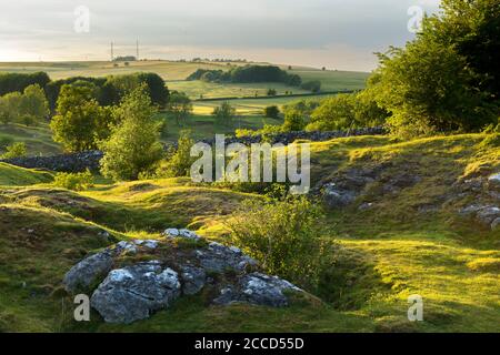 Abendlicht beleuchtet die Landschaft des Ubley Warren Nature Reserve auf den Mendip Hills, Somerset. Stockfoto