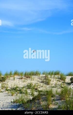 WILDWOOD CREST, NJ-21 JUL 2020- Blick auf den Strand in Wildwood Crest, an der Jersey Shore in Cape May County, New Jersey, USA. Stockfoto