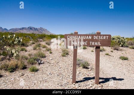 Big Bend National Park, TX 15. März 2007: Chihuahuan Desert Nature Trail bei Dugout Wells in Big Bend. ©Bob Daemmrich Stockfoto