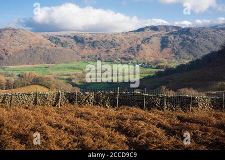 Herbstlicher Blick über das Borrowdale Valley in Richtung Brund Fell und Great Crag im Lake District National Park, Cumbria, England. Stockfoto