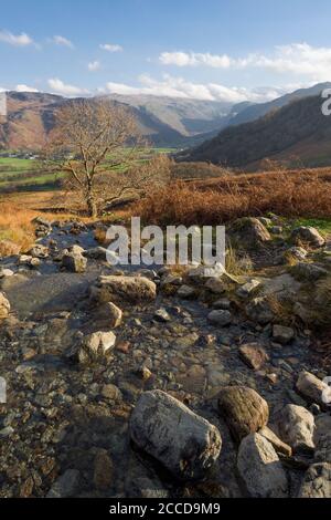 Ein Bach, der die Seite von High Scawdel hinunter zum Fluss Derwent im Borrowdale Valley unten mit Great Crag und Coldbarrow fließt, fiel dahinter im Lake District National Park, Cumbria, England. Stockfoto