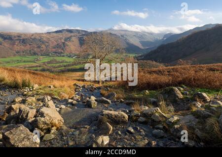 Ein Bach, der die Seite von High Scawdel hinunter zum Fluss Derwent im Borrowdale Valley unten mit Great Crag und Coldbarrow fließt, fiel dahinter im Lake District National Park, Cumbria, England. Stockfoto