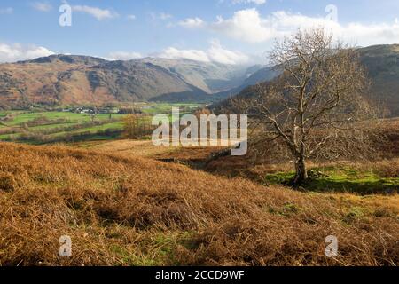 Ein herbstlicher Blick über Rosthwaite im Borrowdale Valley von unten High Scawdel mit Great Crag und Coldbarrow fiel dahinter im Lake District National Park, Cumbria, England. Stockfoto