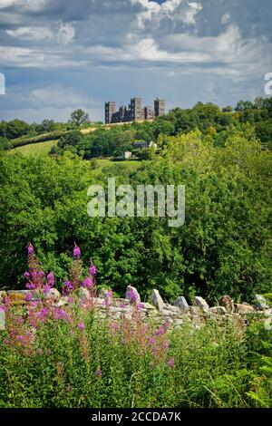 Großbritannien, Derbyshire, Matlock, Riber Castle vom High Tor Stockfoto