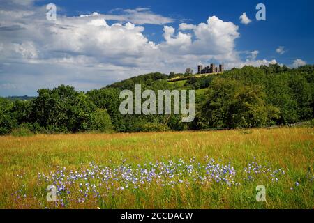 Großbritannien, Derbyshire, Matlock, Riber Castle vom High Tor Stockfoto