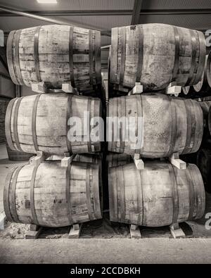 Stapel von traditionellen vollen Whisky-Fässern, die zur Reife gebracht werden, in einem großen Lagerhaus Stockfoto