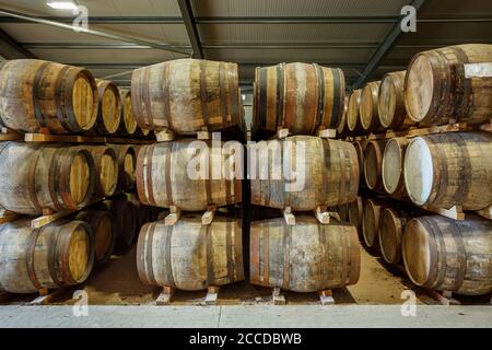 Reihen von Stapeln mit traditionellen vollen Whiskyfässern, die zur Reife gebracht werden, in einem großen Lagerhaus Stockfoto
