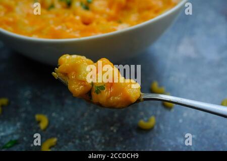 Hausgemachter Cheesy Mac und Käse, selektiver Fokus Stockfoto
