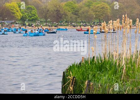 Serpentine im Hyde Park Stockfoto