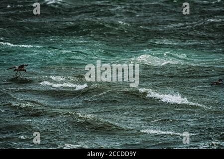 Sturm Ellen trifft Irisches Meer. Graystones Seepromenade und Segelclub in der Nähe von Bray Head. Irland. 19-20. August 2020. Stockfoto
